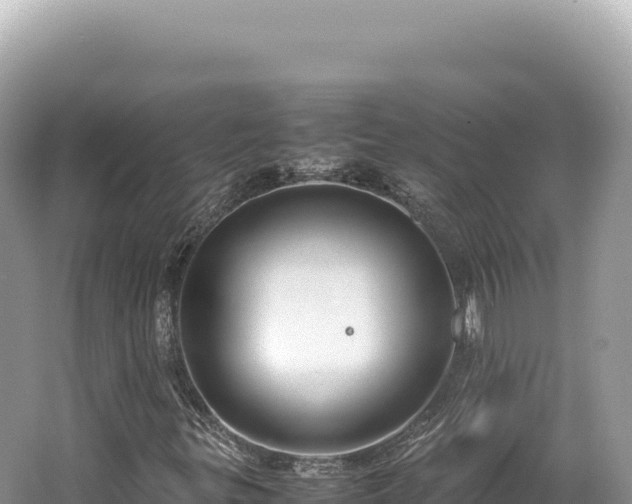 X0000062151299200512121257