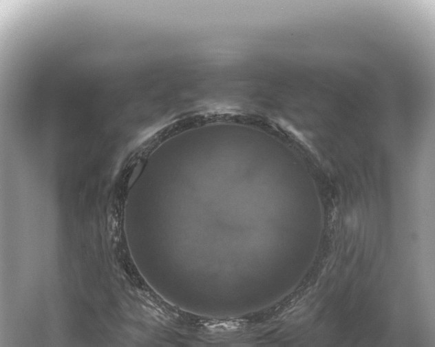 X0000062151303200512121257