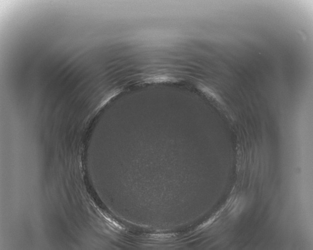 X0000062151305200512121257