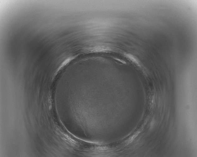 X0000062151306200512121257