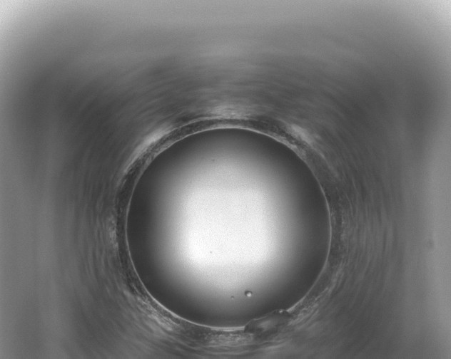 X0000062151307200512121257