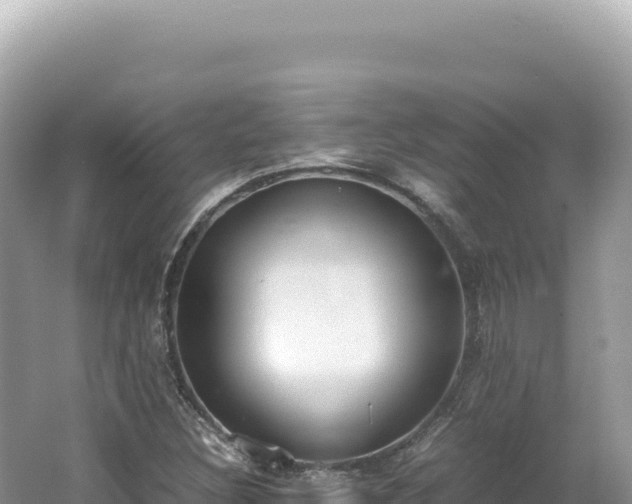 X0000062151308200512121257