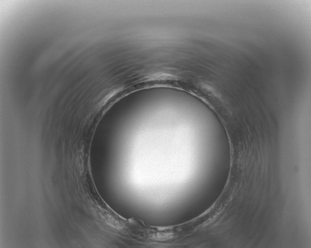 X0000062151313200512121257