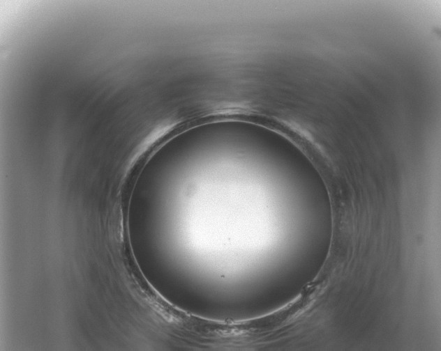 X0000062151317200512121257