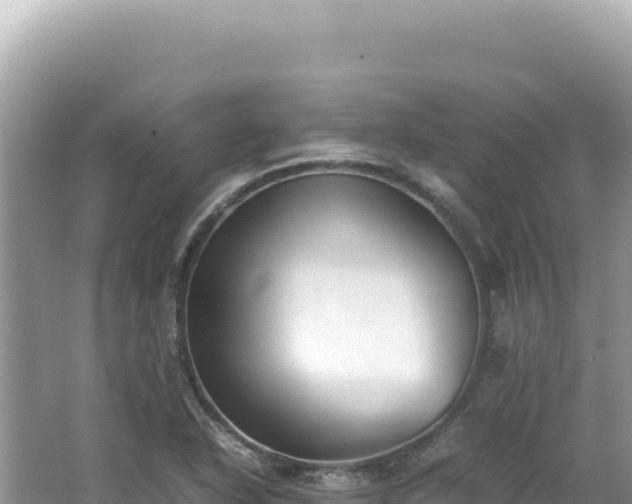 X0000062151318200512121257