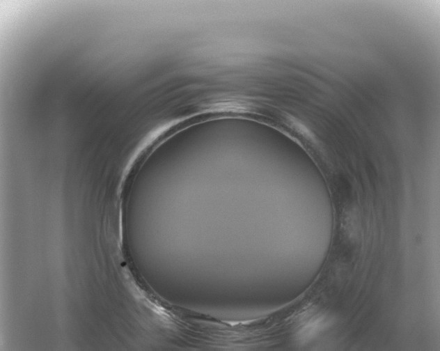 X0000062151323200512121257