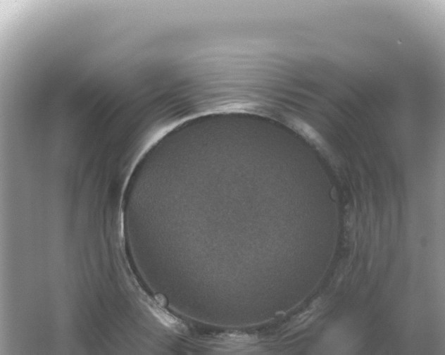 X0000062151324200512121257