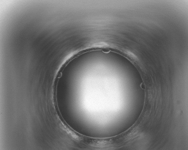 X0000062151326200512121257