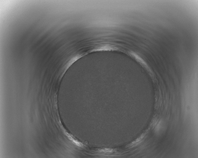 X0000062151329200512121257