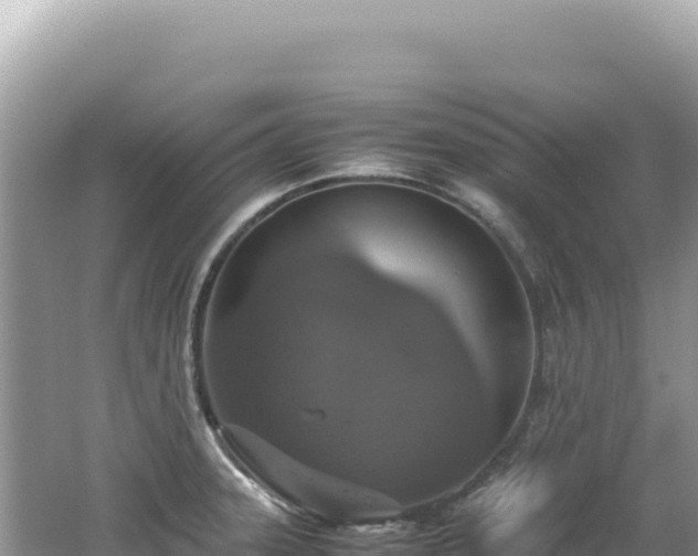 X0000062151331200512121257