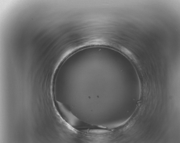 X0000062151334200512121257