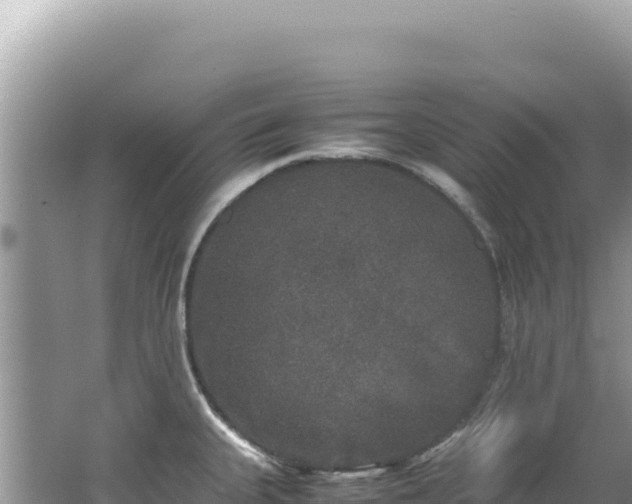 X0000062151335200512121257