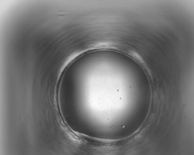 X0000062151336200512121257