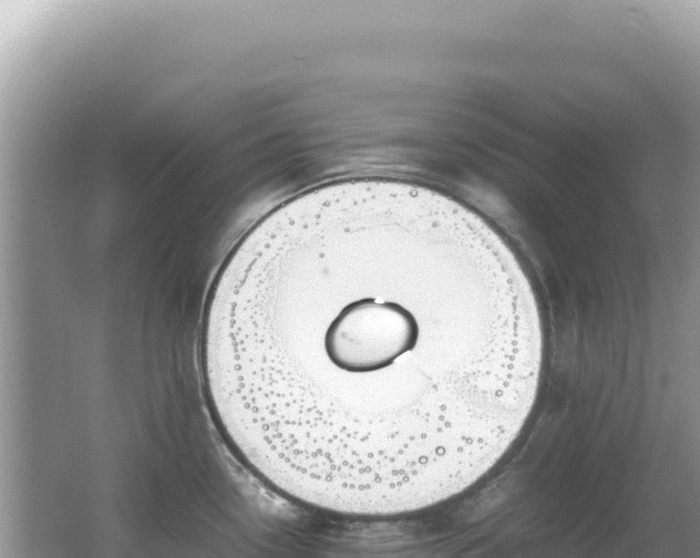 X0000062151338200512121257