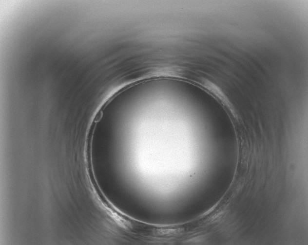 X0000062151339200512121257