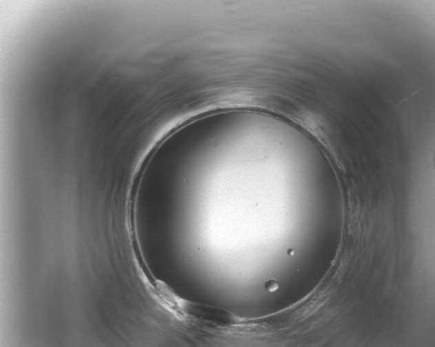 X0000062151342200512121257