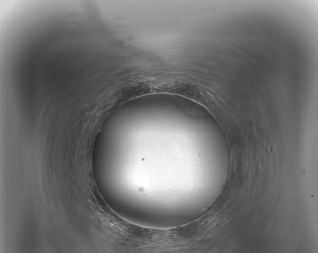 X0000062151345200512121257