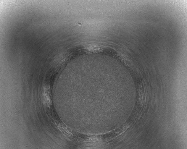 X0000062151346200512121257