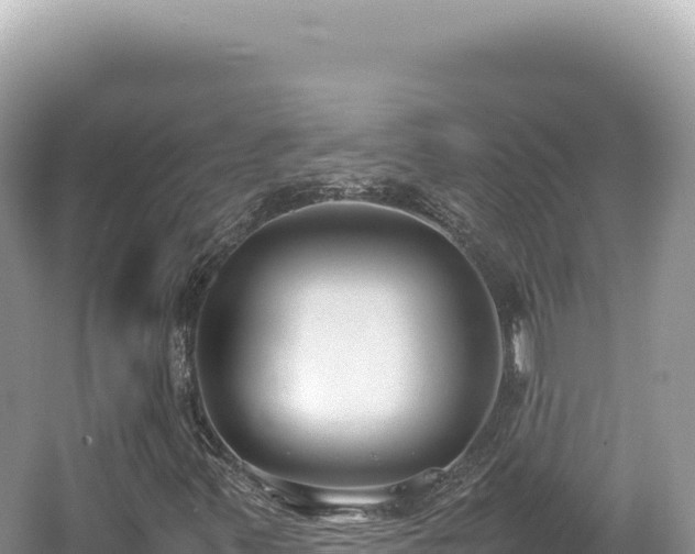 X0000062151347200512121257