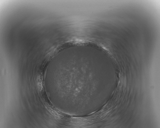 X0000062151348200512121257