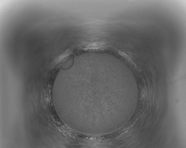 X0000062151350200512121257