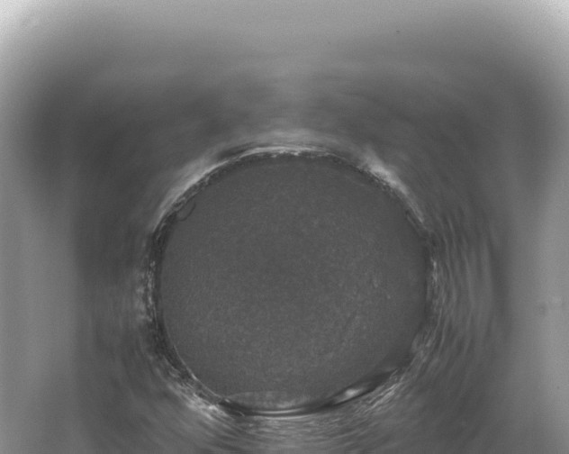 X0000062151352200512121257