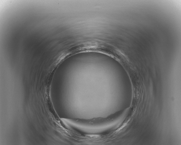 X0000062151353200512121257