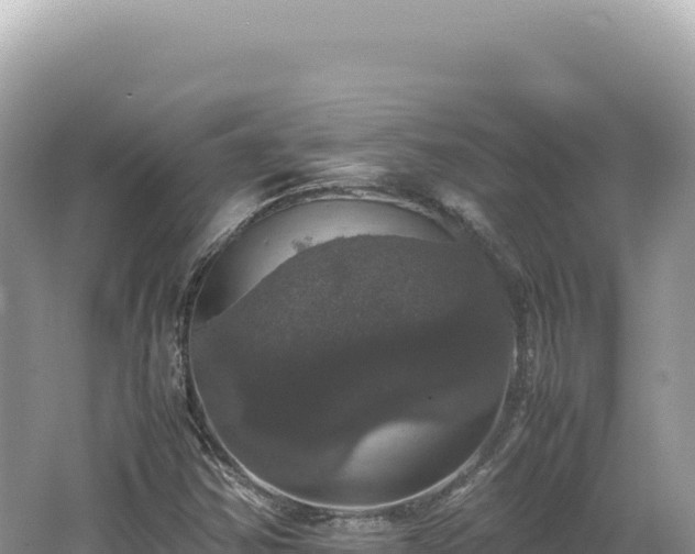 X0000062151354200512121257