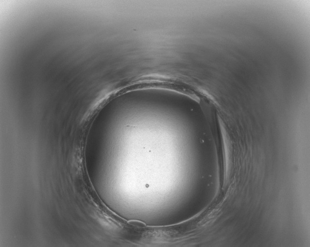 X0000062151355200512121257