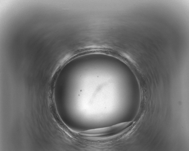 X0000062151357200512121257