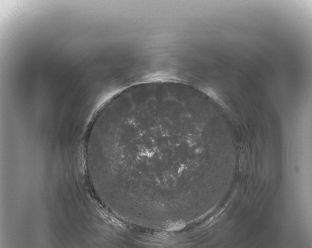 X0000062151358200512121256