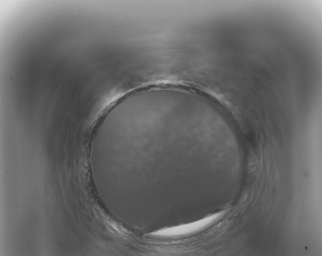 X0000062151359200512121256