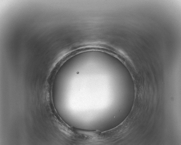 X0000062151360200512121256