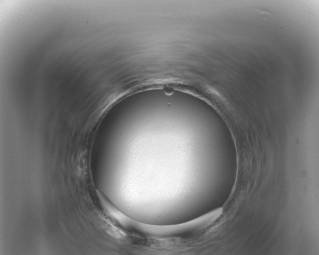 X0000062151361200512121256