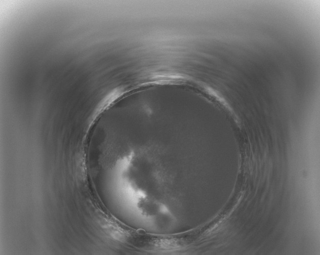 X0000062151362200512121256