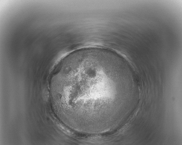 X0000062151363200512121256