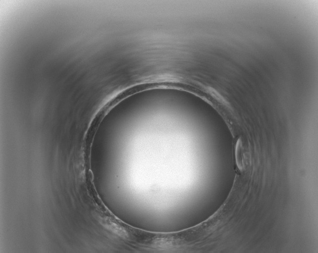 X0000062151364200512121256