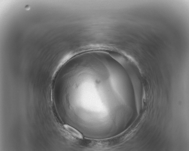 X0000062151365200512121256