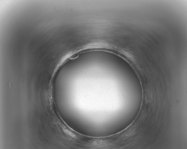 X0000062151366200512121256