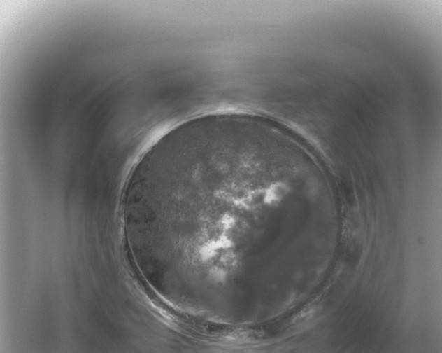 X0000062151367200512121256