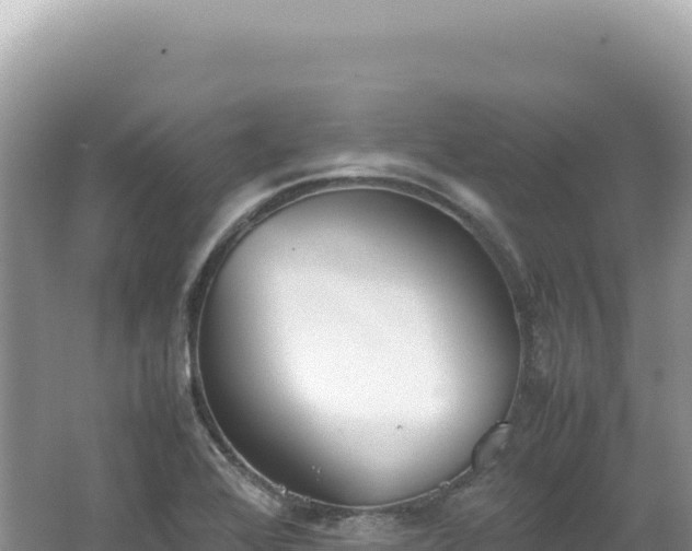 X0000062151368200512121256