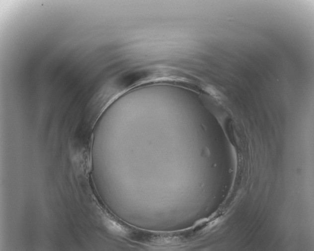 X0000062151369200512121256