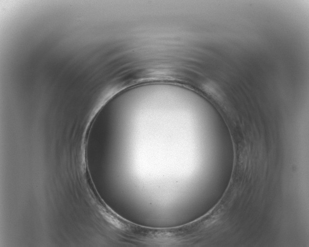 X0000062151370200512121256