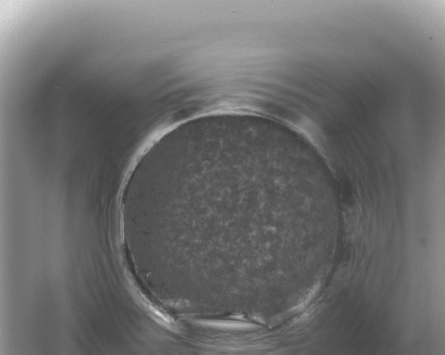 X0000062151371200512121256