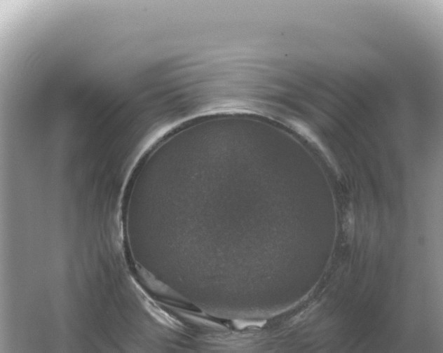 X0000062151372200512121256