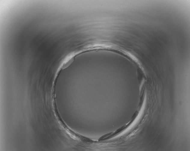 X0000062151373200512121256