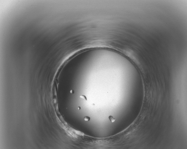 X0000062151380200512121256