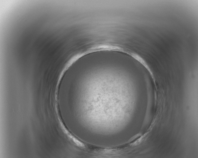 X0000062151381200512121256