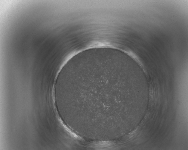 X0000062151382200512121256