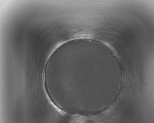 X0000062151383200512121256